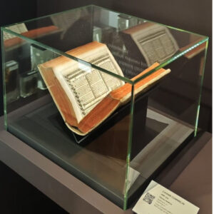 Glasvitrine mit dekorativem Design für Ausstellungsstücke oder Dekoration