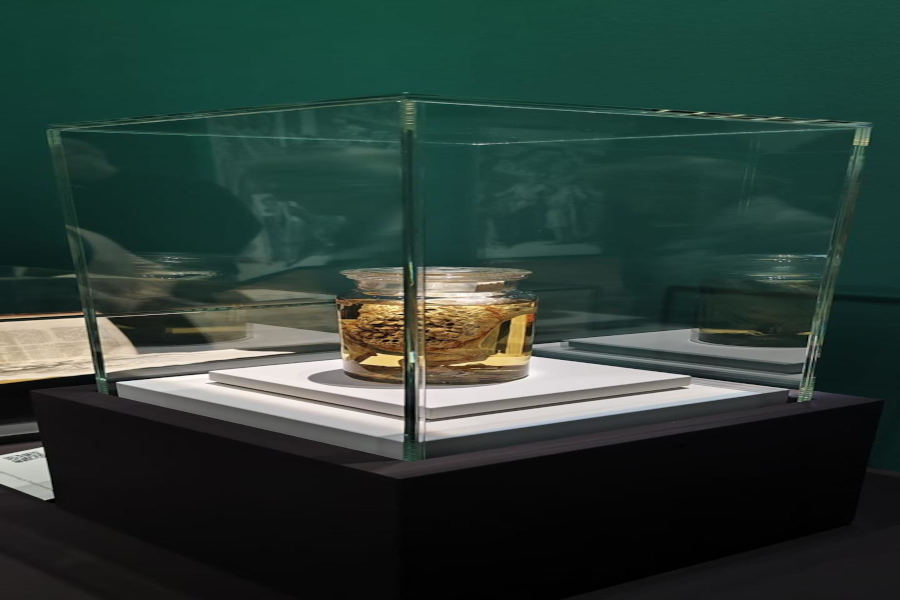 Vitrine für Ausstellung