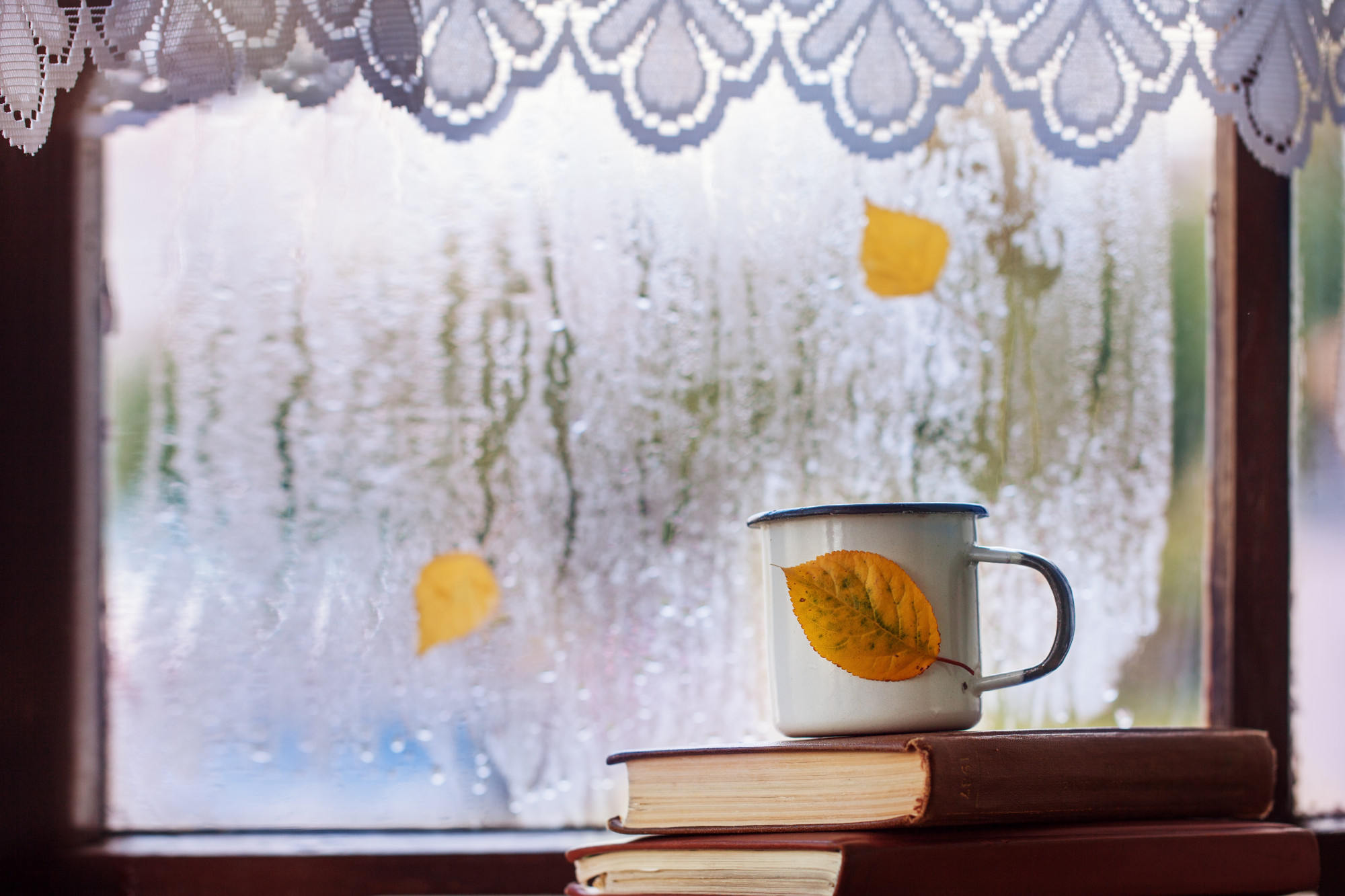 Glas im Herbst und Winter einbauen – ist das möglich und worauf sollte man achten?